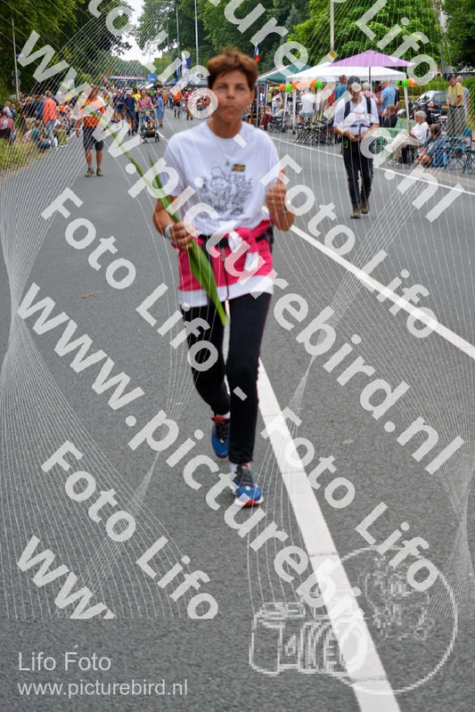 Evenement foto: Nijmeegse Vierdaagse 975