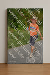 Evenement foto: Nijmeegse Vierdaagse 975