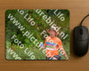Evenement foto: Nijmeegse Vierdaagse 975