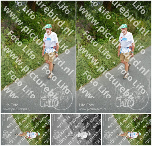 Evenement foto: Nijmeegse Vierdaagse 975
