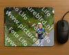 Evenement foto: Nijmeegse Vierdaagse 975