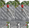 Evenement foto: Nijmeegse Vierdaagse 975