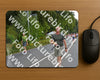 Evenement foto: Nijmeegse Vierdaagse 975