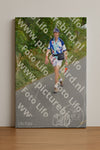 Evenement foto: Nijmeegse Vierdaagse 975