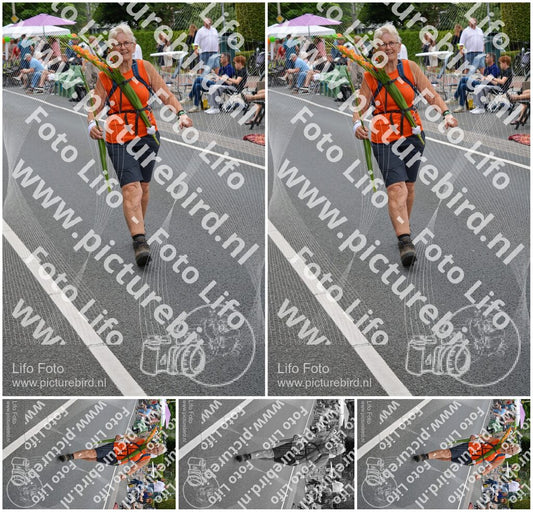 Evenement foto: Nijmeegse Vierdaagse 975
