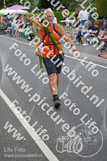 Evenement foto: Nijmeegse Vierdaagse 975
