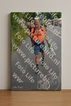 Evenement foto: Nijmeegse Vierdaagse 975