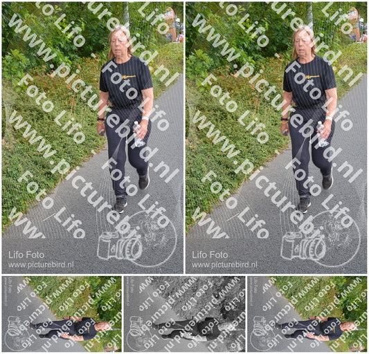 Evenement foto: Nijmeegse Vierdaagse 975