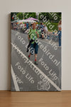 Evenement foto: Nijmeegse Vierdaagse 975
