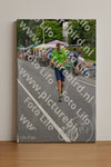 Evenement foto: Nijmeegse Vierdaagse 975