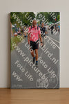 Evenement foto: Nijmeegse Vierdaagse 975