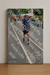 Evenement foto: Nijmeegse Vierdaagse 975