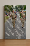Evenement foto: Nijmeegse Vierdaagse 975