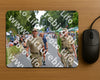 Evenement foto: Nijmeegse Vierdaagse 975