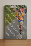 Evenement foto: Nijmeegse Vierdaagse 975