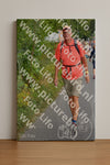 Evenement foto: Nijmeegse Vierdaagse 975