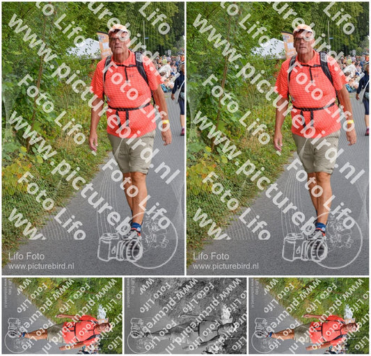 Evenement foto: Nijmeegse Vierdaagse 975