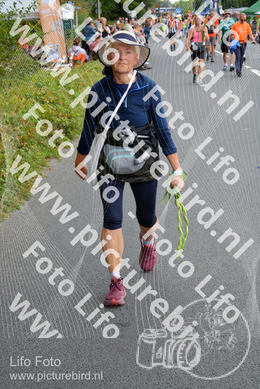 Evenement foto: Nijmeegse Vierdaagse 975