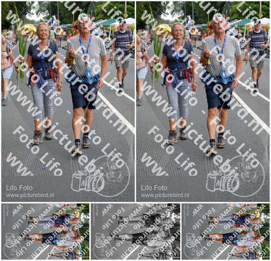 Evenement foto: Nijmeegse Vierdaagse 975