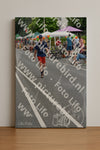 Evenement foto: Nijmeegse Vierdaagse 974
