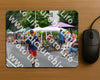 Evenement foto: Nijmeegse Vierdaagse 974