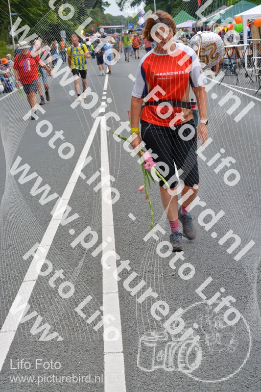 Evenement foto: Nijmeegse Vierdaagse 974