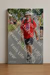 Evenement foto: Nijmeegse Vierdaagse 974