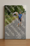 Evenement foto: Nijmeegse Vierdaagse 974