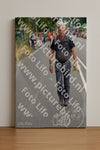 Evenement foto: Nijmeegse Vierdaagse 974
