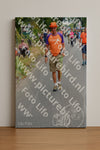 Evenement foto: Nijmeegse Vierdaagse 974