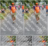 Evenement foto: Nijmeegse Vierdaagse 974