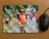 Evenement foto: Nijmeegse Vierdaagse 974