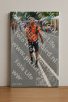 Evenement foto: Nijmeegse Vierdaagse 974