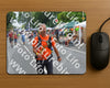 Evenement foto: Nijmeegse Vierdaagse 974