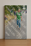 Evenement foto: Nijmeegse Vierdaagse 974