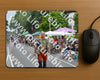 Evenement foto: Nijmeegse Vierdaagse 974