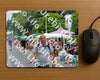 Evenement foto: Nijmeegse Vierdaagse 974