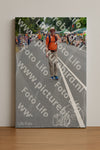 Evenement foto: Nijmeegse Vierdaagse 974