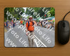 Evenement foto: Nijmeegse Vierdaagse 974