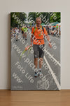 Evenement foto: Nijmeegse Vierdaagse 974