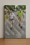Evenement foto: Nijmeegse Vierdaagse 974