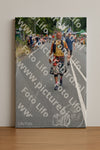 Evenement foto: Nijmeegse Vierdaagse 974