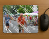 Evenement foto: Nijmeegse Vierdaagse 974