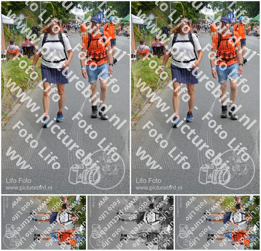 Evenement foto: Nijmeegse Vierdaagse 974