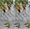 Evenement foto: Nijmeegse Vierdaagse 974