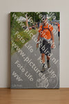 Evenement foto: Nijmeegse Vierdaagse 974