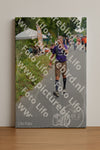 Evenement foto: Nijmeegse Vierdaagse 974