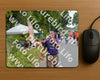 Evenement foto: Nijmeegse Vierdaagse 974