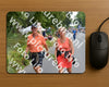 Evenement foto: Nijmeegse Vierdaagse 974