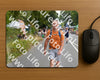 Evenement foto: Nijmeegse Vierdaagse 973